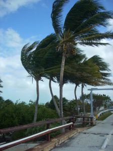 Hurricanes in Florida